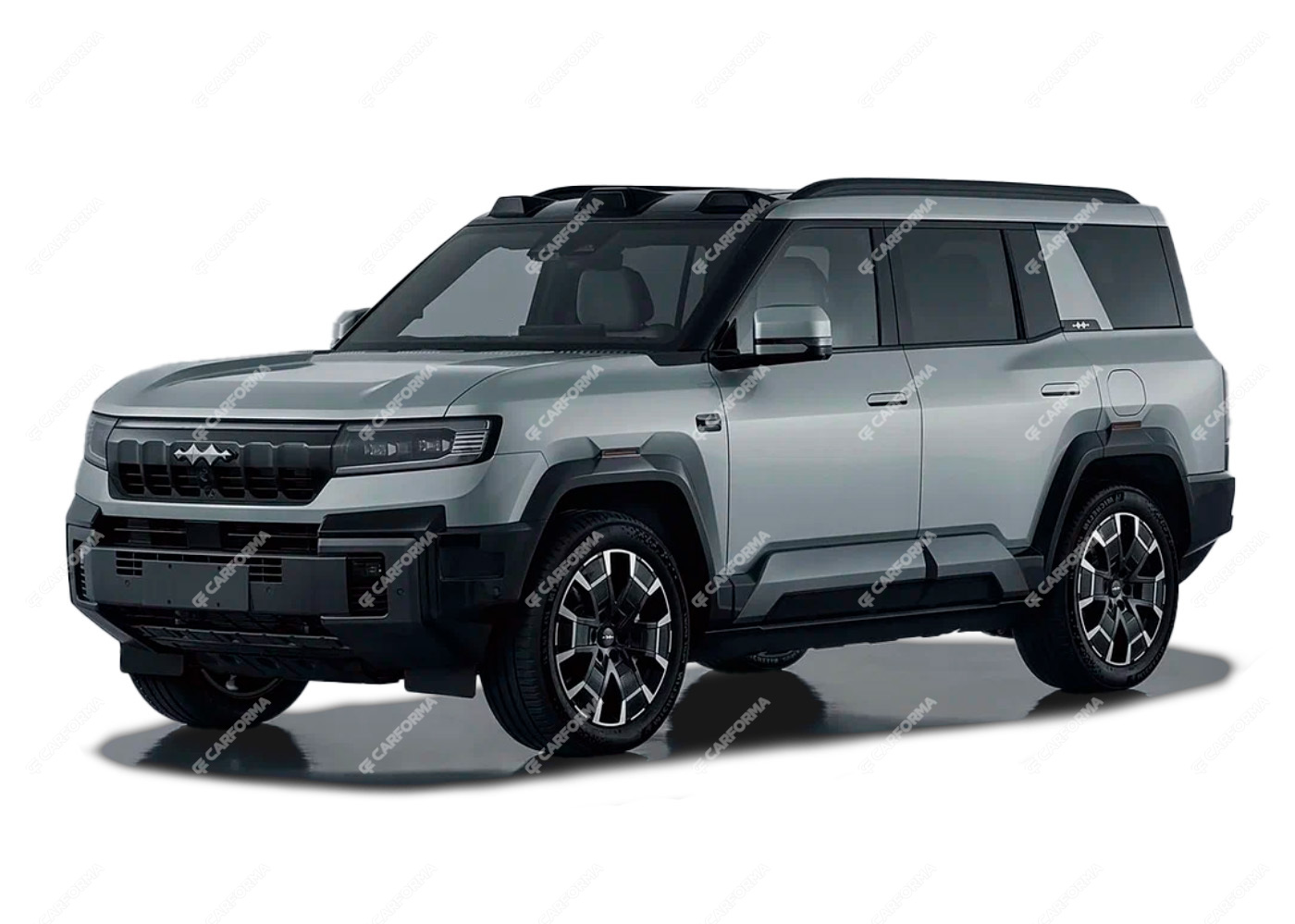 Коврики на BYD Leopard 8 2024 - 2025