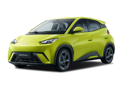 Коврики на BYD Seagull 1 2023&nbsp;-&nbsp;2026 в Вологде